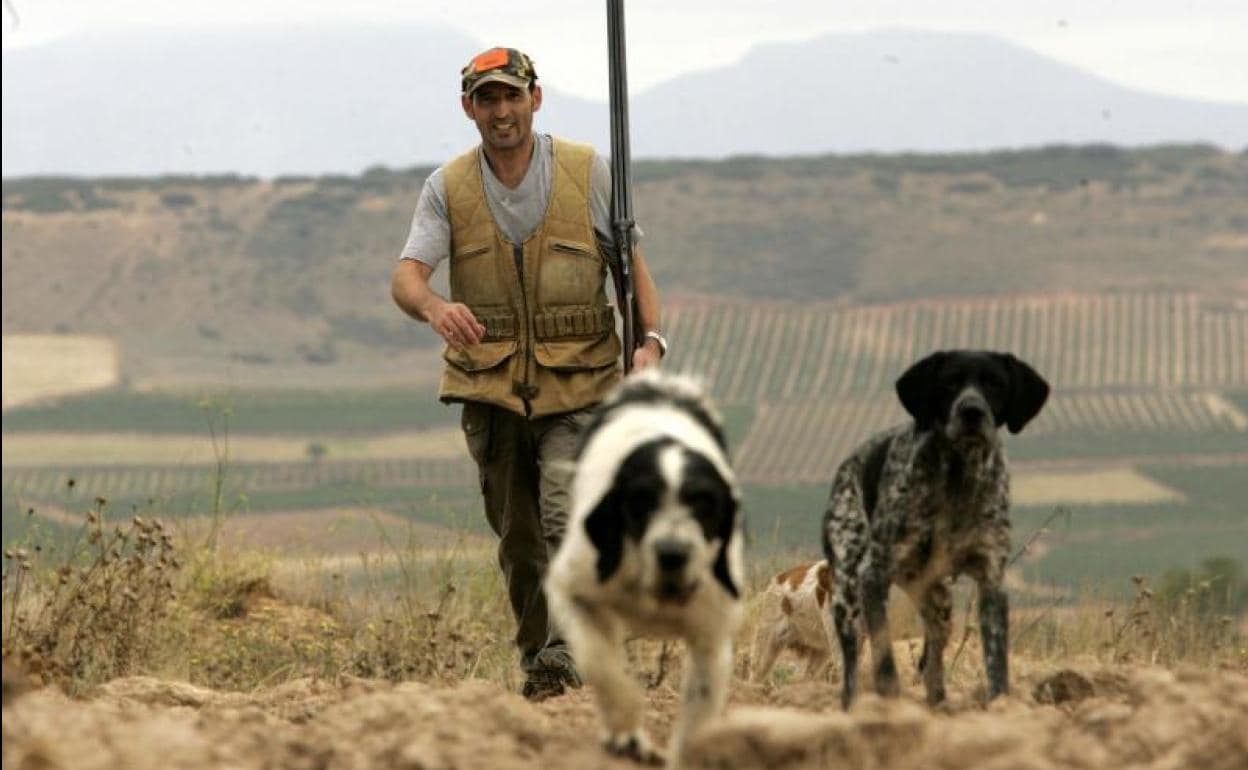 Ley de Bienestar Animal Por qué los perros de caza han sido excluidos en la Ley de Bienestar